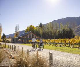 Two people biking next to vines in Gibbston