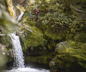 Man jumping off a waterfall surrounded by lush greenery