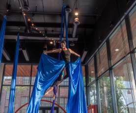 Host of Sparrows - Manchester Spotlight