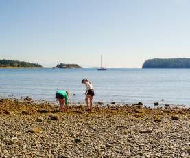 Two people search along a rocky shoreline at low tide, with a sailboat and forested islands in the background.