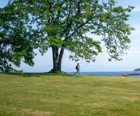 A person walking away from a tree.