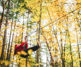 A person zip-lining through a forest with fall foliage.