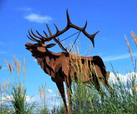Elk Sculpture by Smoker Marchand in Westbank First Nation near Kelowna, BC