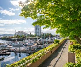 A sunny view of Nanaimo Harbour with boats in the marina, waterfront buildings in the distance, and a tree-lined walkway overlooking the water.