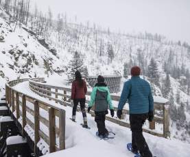 Hiking or snowshoeing through the Myra Canyon Trestles in Kelowna, BC is a magical experience.