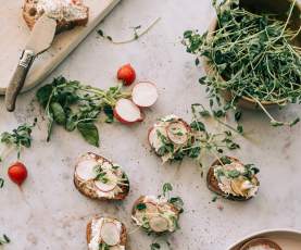 Food photo - radishes and herbs - Spring 2025 Campaign Image