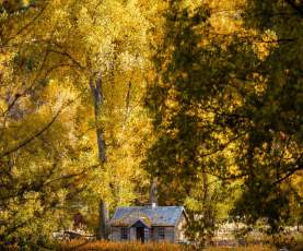 A stunning photo of the Arrowtown Police Hut in autumn
