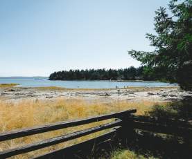 A rocky beach at low tide with people walking along the shoreline and a forested island across the water.