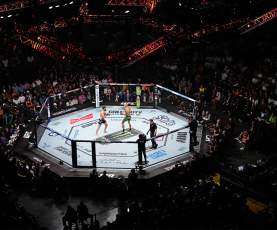 UFC