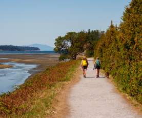 Two people walking a dog on a path along the water.