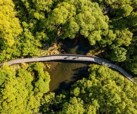 Overhead view of bikers riding along boardwalk through green trees