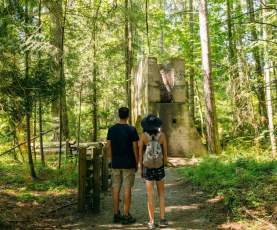 Two people looking at an old broken down building surrounded by forest.