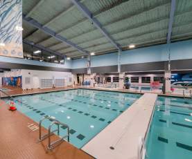 Indoor pool with a swimming block.