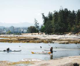 Two people returning to shore with their kayaks