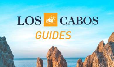 Los Cabos Guides