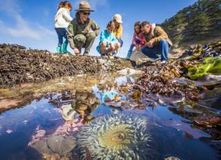Tide Pooling at Fitzgerald Marine Reserve