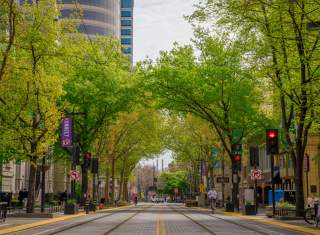 Tree-lined Street