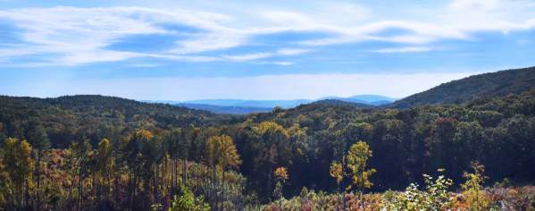 Uwharrie National Forest Randolph County