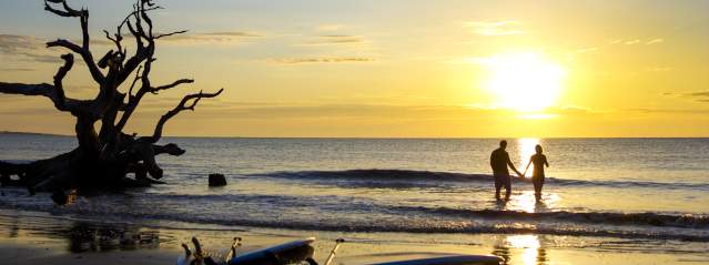 Driftwood Beach on Jekyll Island