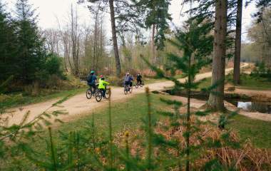 Family cycling down pathway during winter in the New Forest - Cycling Fam Insp