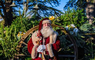 Santa at Paultons Park