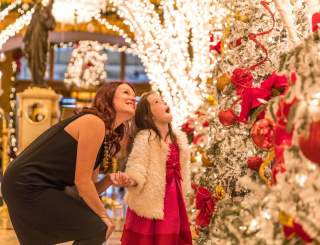 Mother Daughter Holiday Hotel - Zack Smith