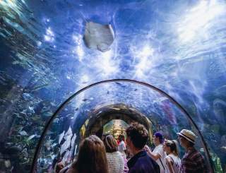 Audubon Aquarium