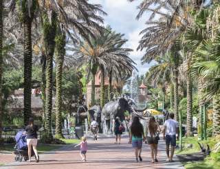 Audubon Zoo Elephant Fountain