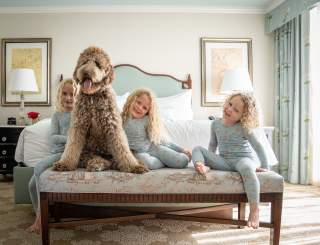 Pampered Pets Program - Windsor Court