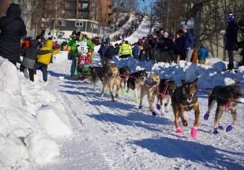 Iditarod Trail Sled Dog Race, Ceremonial Start in Anchorage, 2024
