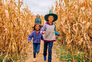 Two girls, once with witch hat, run through corn maze with mom in the background