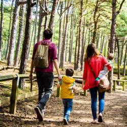 Family walking in Formby Woods