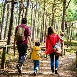 Family walking in Formby Woods