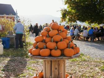 Red Acre Farm Pumpkins