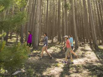 Hiking Puzzle