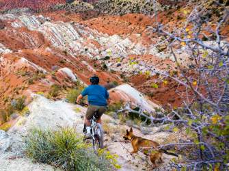 Razorback Trail - Thunderbird Gardens