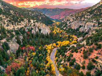 Fall Color