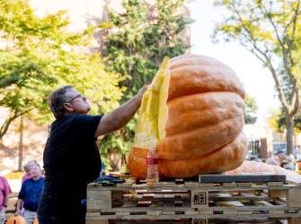 Experience Fall Like a Local in Holland