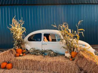 Robinson Family Pumpkin Patch