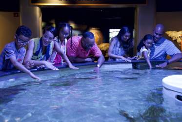 NC Aquarium at Pine Knoll Shores Water Tank