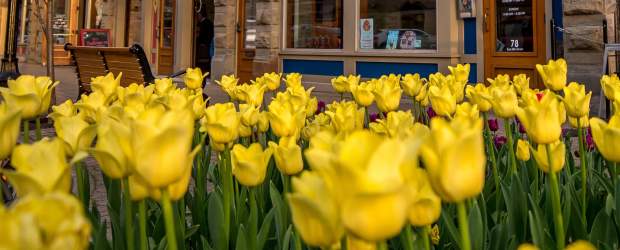 Adwait Visitors Bureau