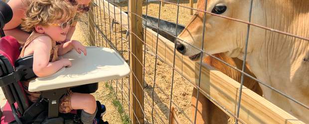 Small Child in Wheelchair enjoying animals at the Critter Barn