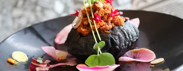 Infladita de Conejo - Xochi