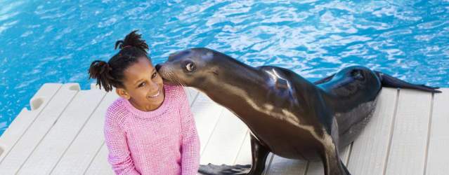 Atracciones para Niños en Houston