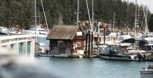 Gabriola harbour and docks.