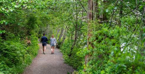 Two people waking on a gravel path through a forest.