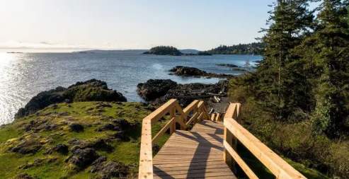 A wooden path leading towards the ocean.