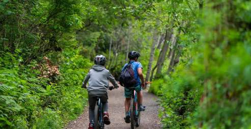 Two people biking on a gravel trail in a forest.