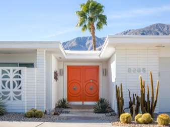 Modernism house with pretty palm tree background and orange door.