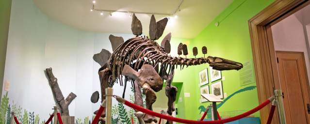 Everhart Museum dinosaur